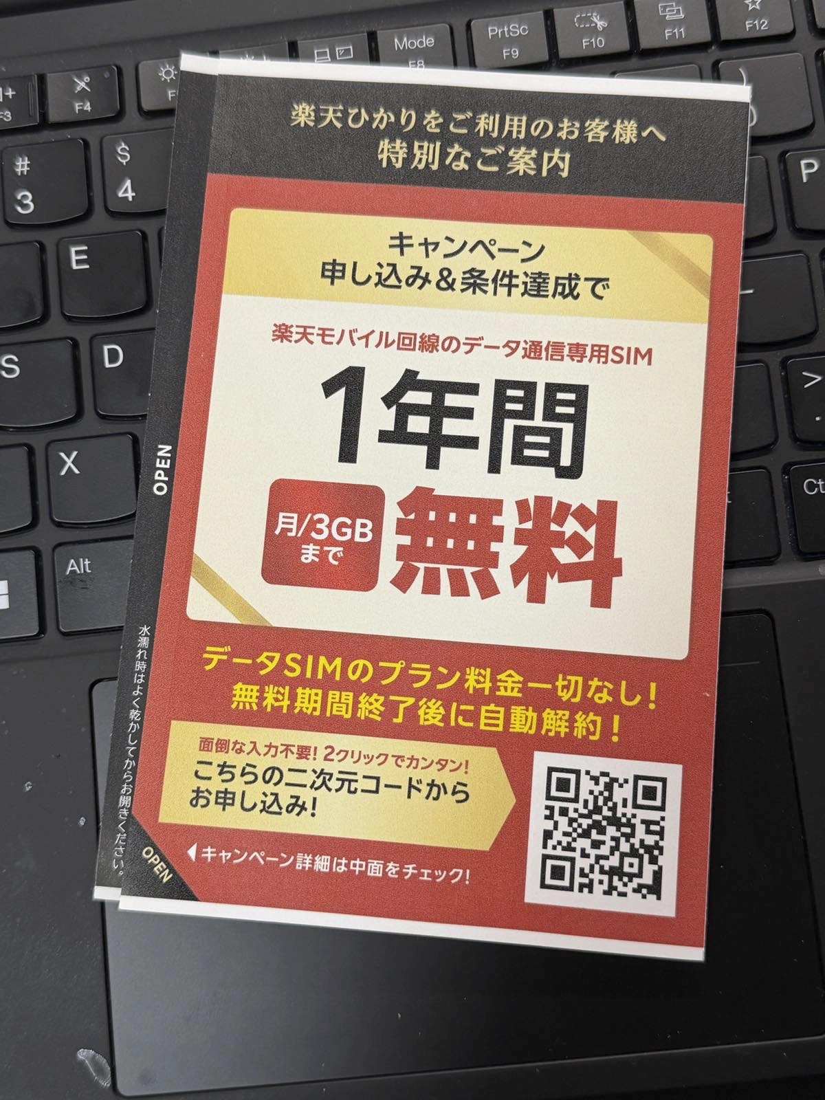 楽天ひかり データSIM 1年間無料を告知する特別案内チラシ（申込＆条件達成、QR、月3GB・自動解約）